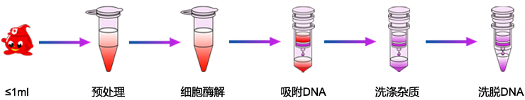 血液-mini 血液-mini