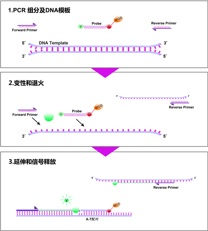 1626747543(1) 1626747543(1)