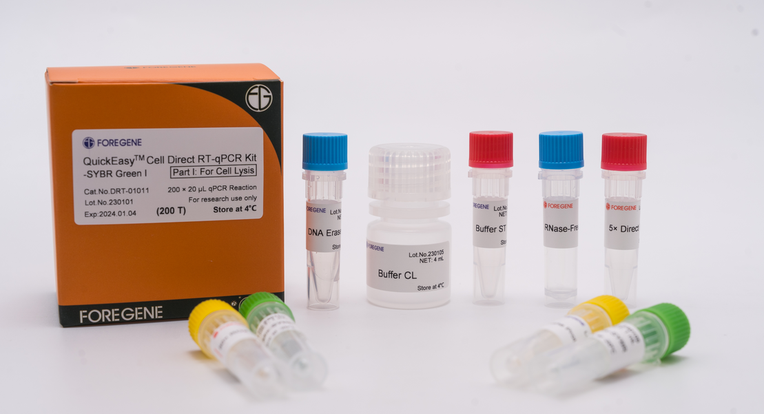 3bbe017c2851c6647e3a6390b6cfc11 3bbe017c2851c6647e3a6390b6cfc11