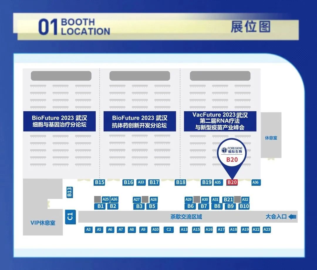 武汉展会2_画板 2 武汉展会2_画板 2